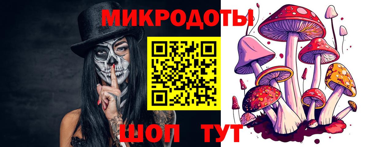 Тольятти  Псилоцибиновые грибы Cubensis  Вход с VPN 